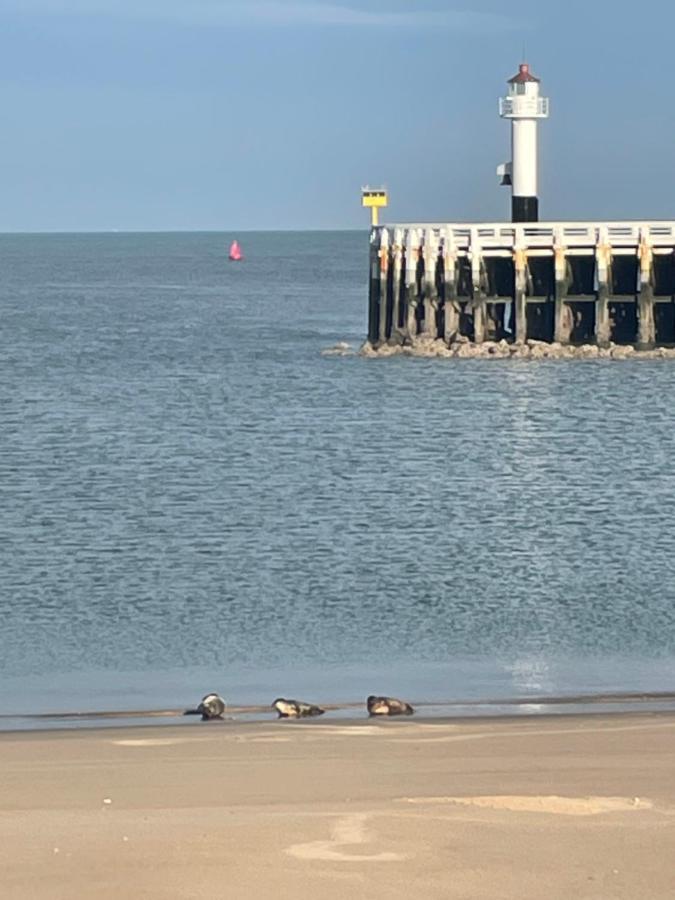 Seaview Penthouse Oostende Dış mekan fotoğraf
